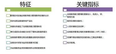 全面剖析ITSS信息技術服務標準 提升技術服務質量的關鍵指南